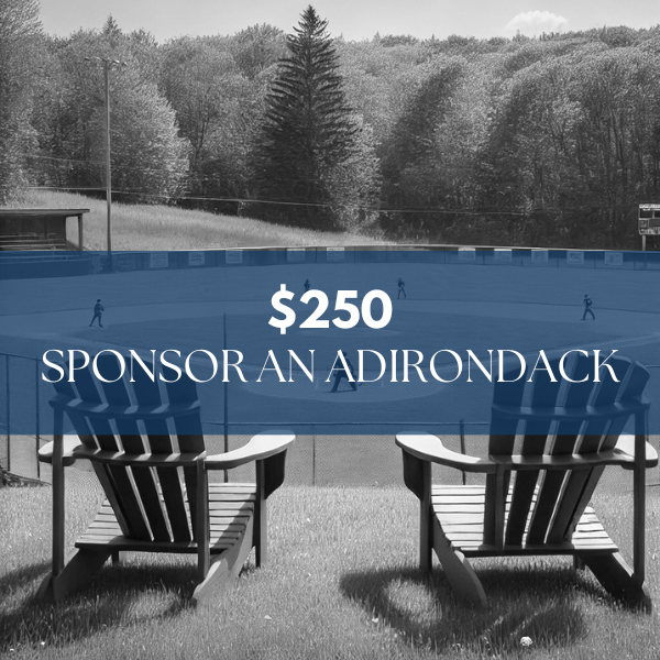 $250 Adopt an Adirondack