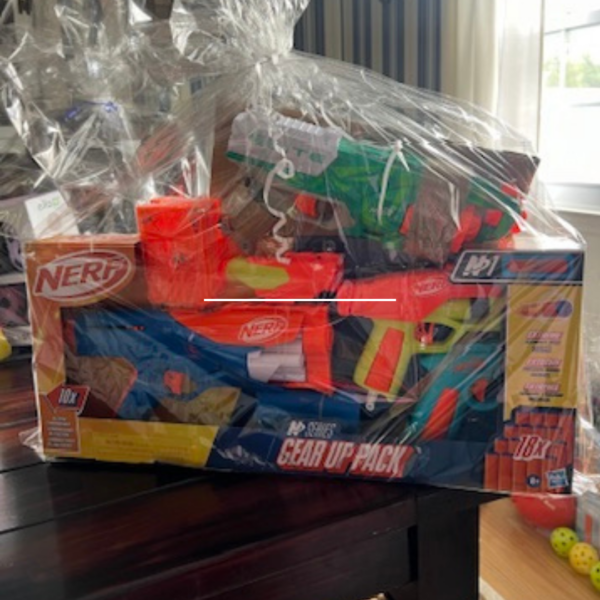 #11 Nerf Basket
